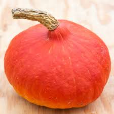 Graines de Potimarron