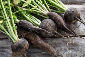 Graines de Radis d&rsquo;hiver